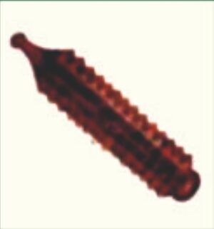 Karela Massager Shisham
