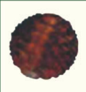 Power Ball ( Shisham)