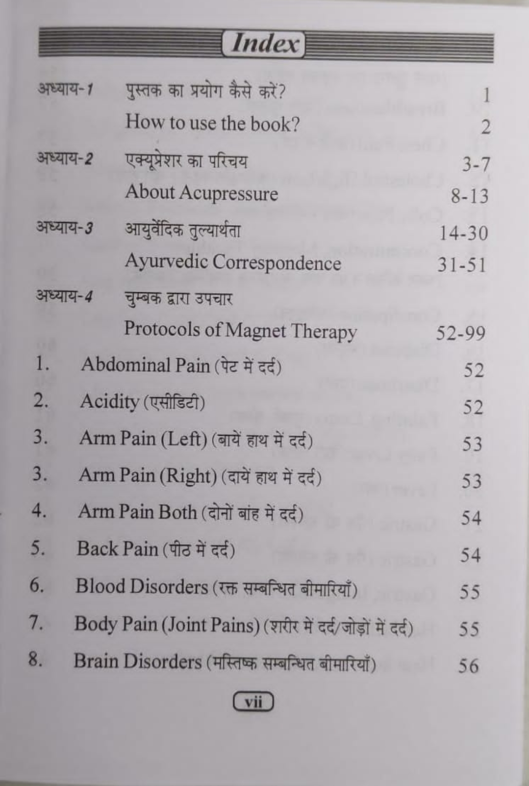 Ayurvedic Acupressure Magnet Therapy 1 - Image 2
