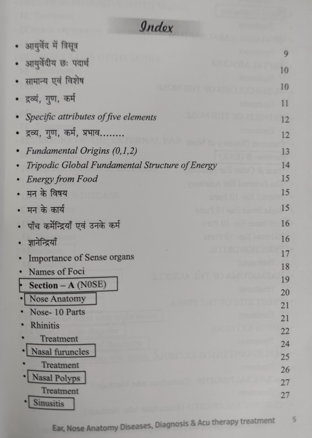Ear and Nose Anatomy - Image 2
