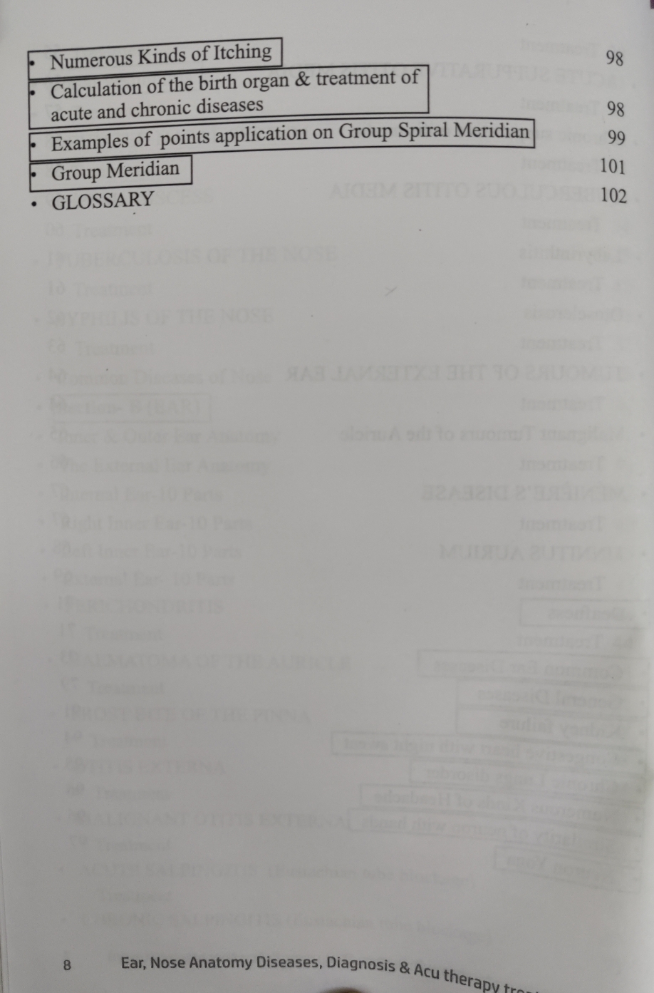 Ear and Nose Anatomy - Image 5